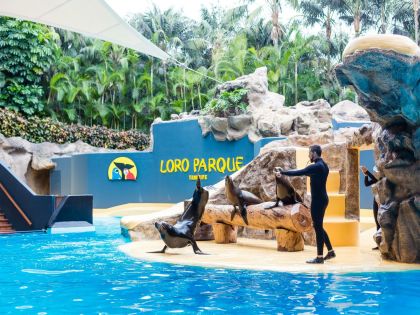 Почивка в Испания - остров Тенерифе, директни чартъри от София - ALUA 4*